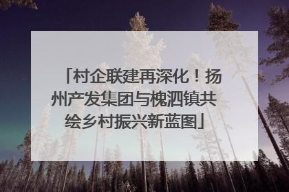 村企联建再深化！扬州产发集团与槐泗镇共绘乡村振兴新蓝图