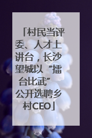 村民当评委、人才上讲台，长沙望城以“擂台比武” 公开选聘乡村CEO