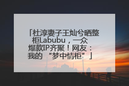 杜淳妻子王灿兮晒整柜Labubu，一众爆款IP齐聚！网友：我的 “梦中情柜”