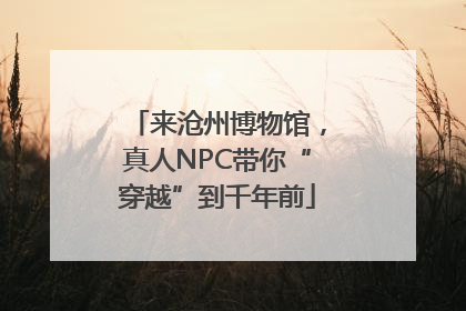 来沧州博物馆，真人NPC带你“穿越”到千年前