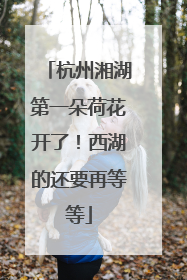 杭州湘湖第一朵荷花开了！西湖的还要再等等