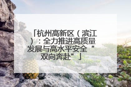 杭州高新区（滨江）：全力推进高质量发展与高水平安全“双向奔赴”
