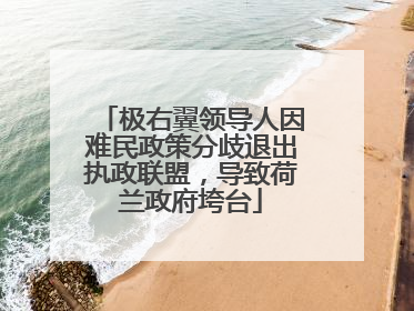 极右翼领导人因难民政策分歧退出执政联盟，导致荷兰政府垮台