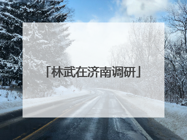 林武在济南调研