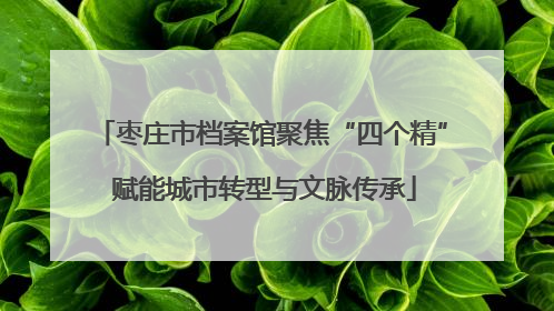 枣庄市档案馆聚焦“四个精” 赋能城市转型与文脉传承