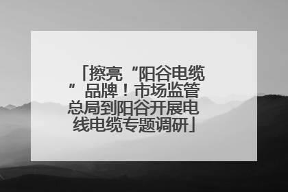 擦亮“阳谷电缆”品牌！市场监管总局到阳谷开展电线电缆专题调研