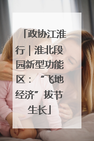 政协江淮行｜淮北段园新型功能区：“飞地经济”拔节生长