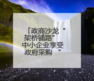 政商沙龙“架桥铺路” 中小企业享受政府采购 “及时雨”
