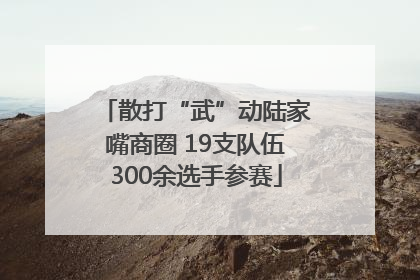 散打“武”动陆家嘴商圈 19支队伍300余选手参赛