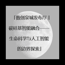 数创泉城发布厅丨碳硅基智能融合——生命科学与人工智能的边界探索