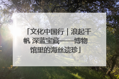 文化中国行｜浪起千帆 深蓝宝藏——博物馆里的海丝遗珍