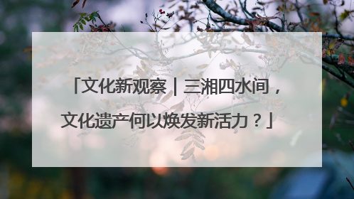 文化新观察｜三湘四水间，文化遗产何以焕发新活力？