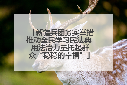 新疆兵团务实举措推动全民学习民法典 用法治力量托起群众“稳稳的幸福”
