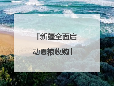 新疆全面启动夏粮收购