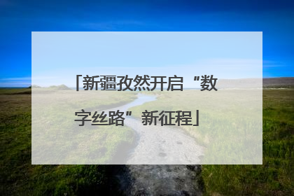 新疆孜然开启“数字丝路”新征程