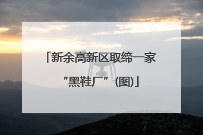 新余高新区取缔一家“黑鞋厂”(图)
