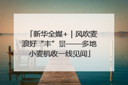 新华全媒+｜风吹麦浪好“丰”景——多地小麦机收一线见闻