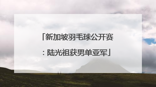 新加坡羽毛球公开赛：陆光祖获男单亚军