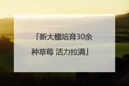 新大棚培育30余种草莓 活力拉满