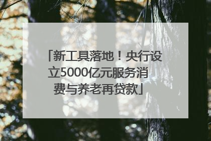 新工具落地！央行设立5000亿元服务消费与养老再贷款