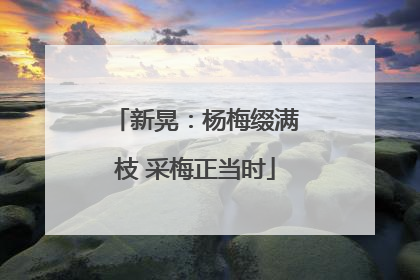 新晃：杨梅缀满枝 采梅正当时