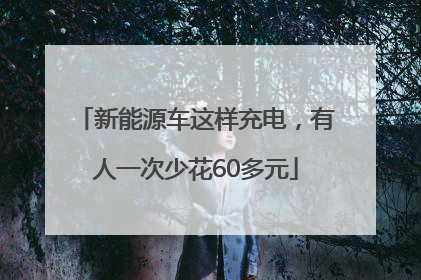 新能源车这样充电，有人一次少花60多元