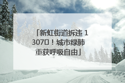 新虹街道拆违 1307㎡！城市绿肺重获呼吸自由