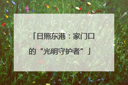 日照东港：家门口的“光明守护者”