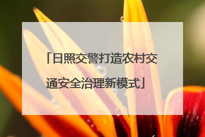 日照交警打造农村交通安全治理新模式