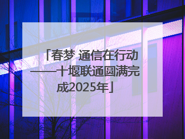 春梦 通信在行动——十堰联通圆满完成2025年