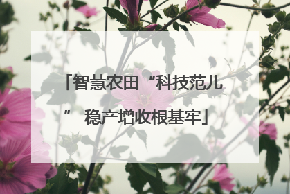 智慧农田“科技范儿” 稳产增收根基牢