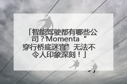 智能驾驶都有哪些公司？Momenta“穿行桥底迷宫”无法不令人印象深刻！