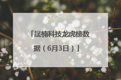 晟楠科技龙虎榜数据（6月3日）