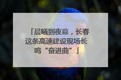 晨曦到夜幕，长春这条高速建设现场长鸣“奋进曲”