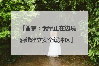 普京：俄军正在边境沿线建立安全缓冲区