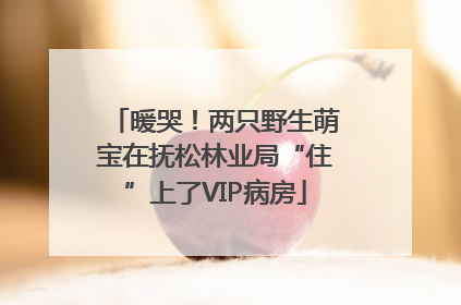 暖哭！两只野生萌宝在抚松林业局“住”上了VIP病房