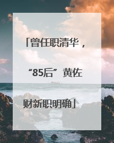 曾任职清华，“85后”黄佐财新职明确