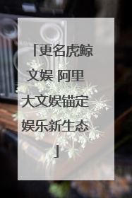更名虎鲸文娱 阿里大文娱锚定娱乐新生态