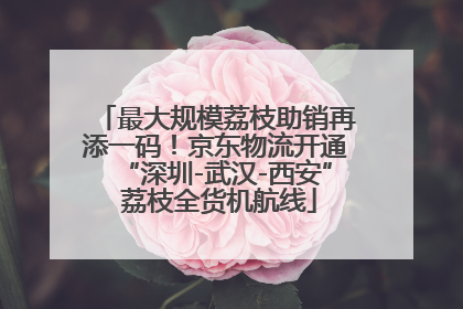 最大规模荔枝助销再添一码！京东物流开通“深圳-武汉-西安” 荔枝全货机航线
