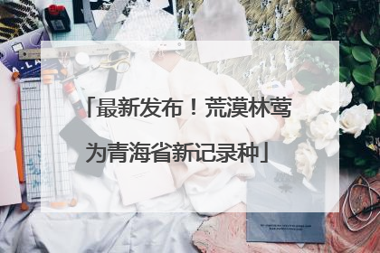 最新发布！荒漠林莺为青海省新记录种