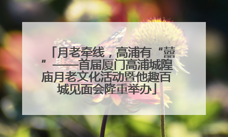 月老牵线，高浦有“囍”——首届厦门高浦城隍庙月老文化活动暨他趣百城见面会隆重举办