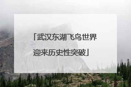 武汉东湖飞鸟世界迎来历史性突破