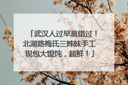 武汉人过早莫错过！北湖路梅氏三姊妹手工现包大馄饨，超鲜！