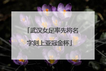 武汉女足率先将名字刻上亚冠金杯