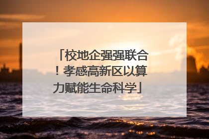 校地企强强联合！孝感高新区以算力赋能生命科学