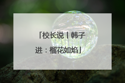 校长说丨韩子进：榴花如焰