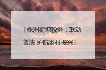 株洲荷塘税务：联动普法 护航乡村振兴