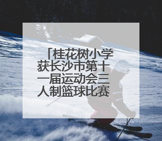 桂花树小学获长沙市第十一届运动会三人制篮球比赛少年组双冠