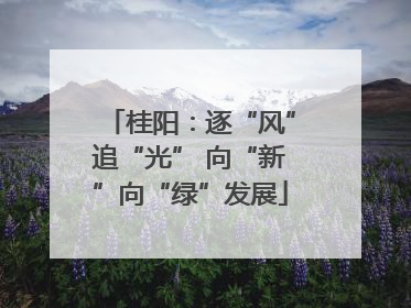桂阳：逐“风”追“光” 向“新”向“绿”发展