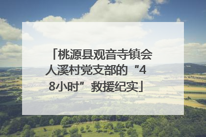 桃源县观音寺镇会人溪村党支部的“48小时”救援纪实